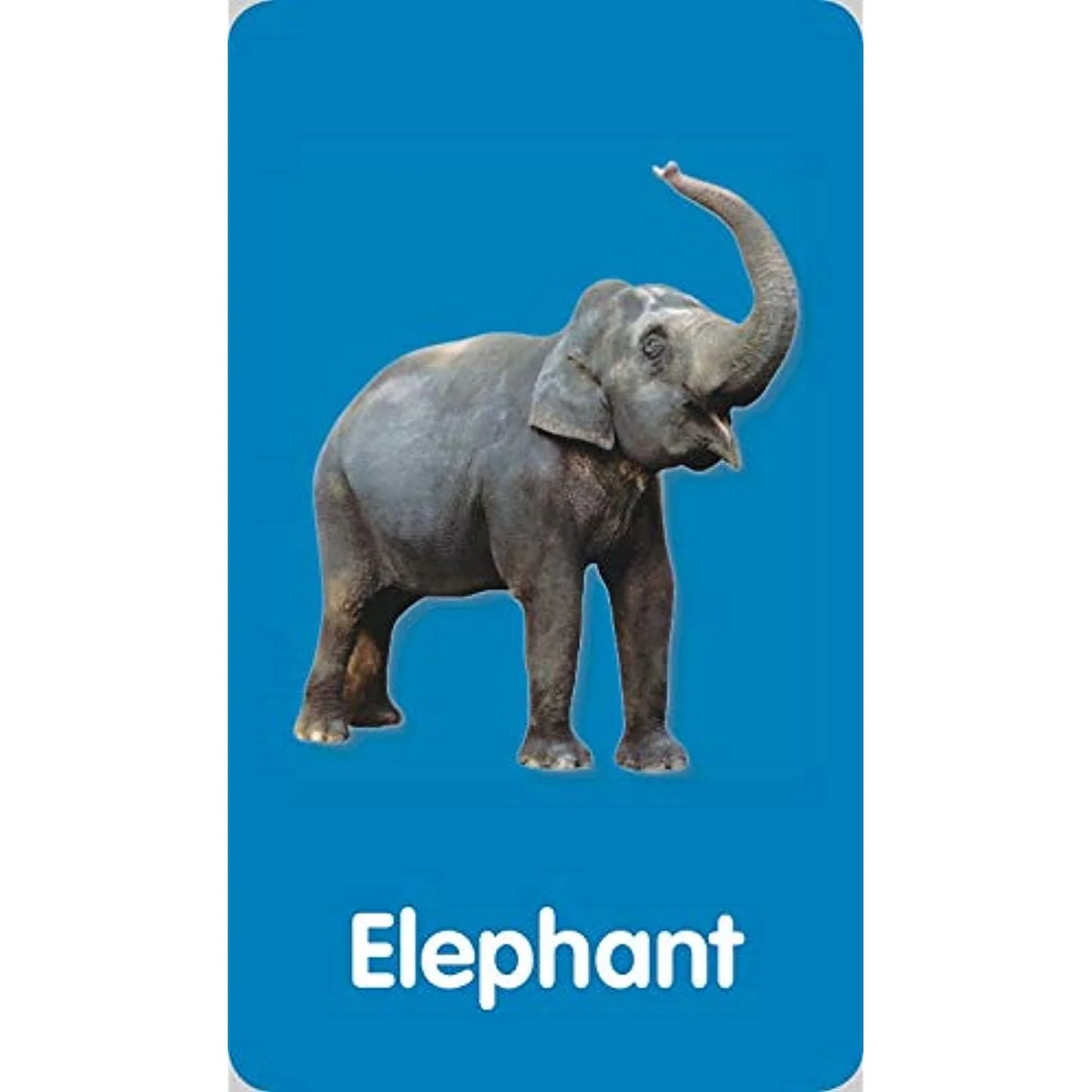 Scholastic Flash Cards: Alphabet