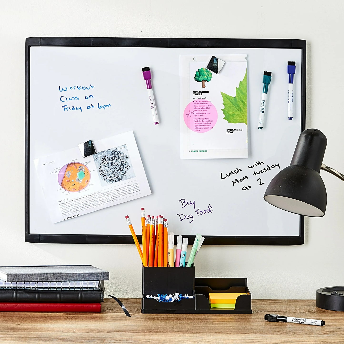 Pen+Gear Magnetic Dry Erase Board, Black, Height 17" x Width 23" x Depth 0.65"