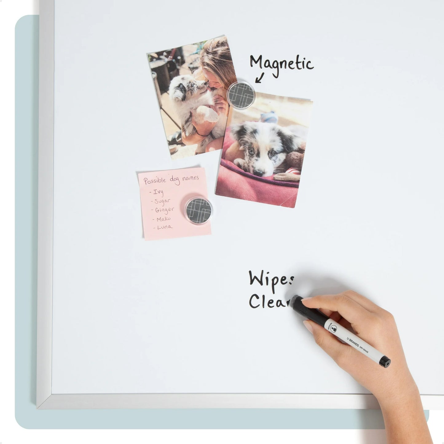 U Brands 35 x 23 in. Magnetic Dry Erase Whiteboard, Silver Metal Frame, Includes 2 Magnets, Marker, Tray