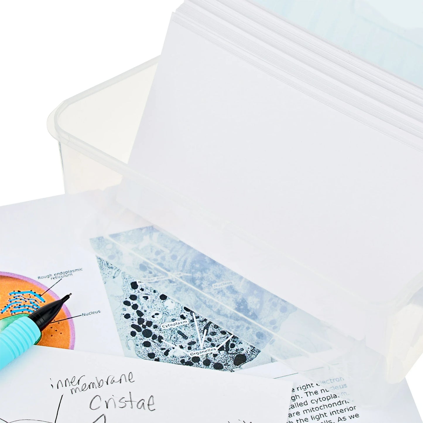 Pen+Gear Blank Index Cards, 3" x 5", White, 100 Count